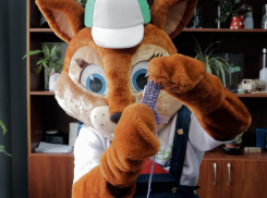 Больше, чем 12 минут: расскажем, как ростовчанам продлить жизнь обычного пакета