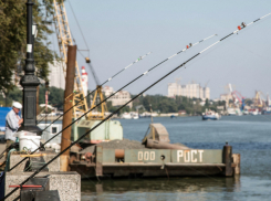 Городские власти планируют изъять у «Ростовского порта» земельные участки для обустройства Театрального спуска