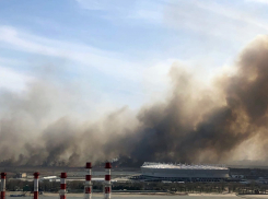 В Ростове на левом берегу Дона на 700 квадратных метрах горит камыш