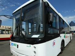 Возить ростовчан до «Платова» доверили московским перевозчикам