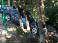 Мечтавшую охладиться в Гремучем источнике иномарку коварно задержали растущие на берегу деревья