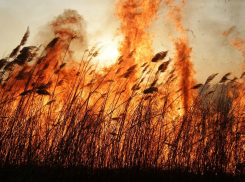 В 28 городах и районах Ростовской области объявили штормовое предупреждение на 19 июня 