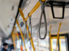 Новогодние изменения: Ростовский транспорт будет работать до часа ночи