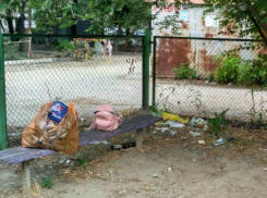 «Не барским делом» предложили заняться пожаловавшимся на мусор ростовским мамам