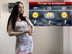 В Ростовской области потеплеет до +21°