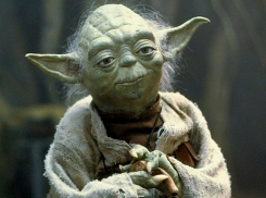 Магистр Йода и Оксана самые популярные советчики для ростовских водителей