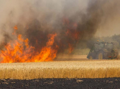 В Ростовской области пожары уничтожили 100 га пшеницы