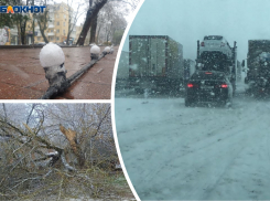 В Ростовской области из-за непогоды упало несколько деревьев, перевернулся грузовик и встала часть трассы М-4 «Дон»