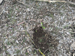 На «закладке» полицейские задержали дончанина, подозреваемого в хранении наркотиков 