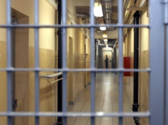 В Ростовской области в изоляторе временного содержания умер подозреваемый в насильственных действиях