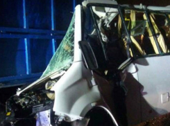 Соболезнования близким погибших в страшной аварии выразил ФК «Ростов»