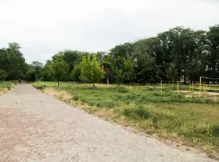 Завершение реконструкции парка 8 марта в Ростове перенесли на 2022 год