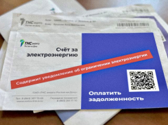 В Ростовской области 45 тысяч человек задолжали за электроэнергию