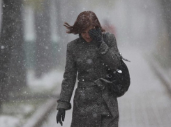 Ростовчан предупредили о надвигающейся суровой метели и призвали запастись фонарями