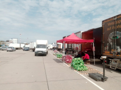 Из-за закрытия рынков под Ростовом выросли цены на овощи и фрукты