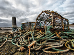 В Ростовской области рыбаки-нелегалы получили два года тюрьмы