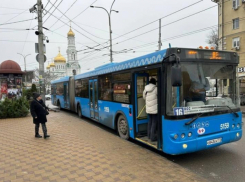 В Ростове отменили маршрут №1А на Суворовский