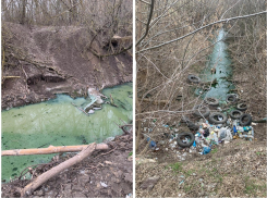 После публикации «Блокнота» в поселке Овощной перестанут сбрасывать канализацию в канал