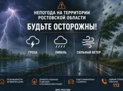 Ливни с грозами накроют Ростовскую область в течение суток