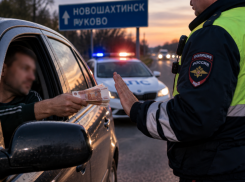 Пьяный водитель попался на попытке дать взятку инспектору ДПС на трассе в Ростовской области