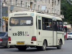 Ростовская маршрутка сбила проигнорировавшую «зебру» женщину 