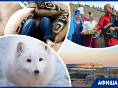 Идем на матч с QR-кодами, смотрим исторический фестиваль и прогоняем страх: куда пойти в Ростове на этой неделе