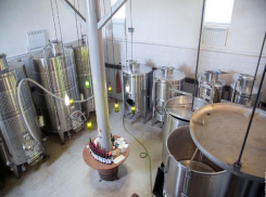 Производители вина в Ростовской области просят больше поддержки