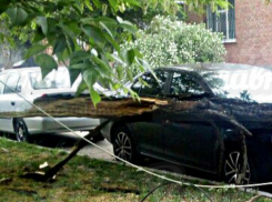 Огромное дерево рухнуло на машину «бессмертного» водителя в Ростове