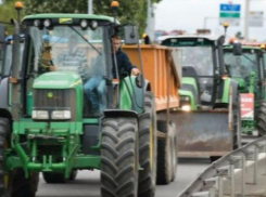 Донская прокуратура заинтересовалась маршем фермеров на Москву