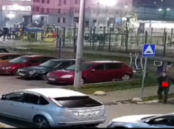 Житель Ростовской области бросил гранату на детской площадке в Подмосковье