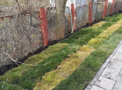 В Ростове-на-Дону жители находятся в шоке от застилки уличного газона в декабре 