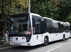 С проектом новой маршрутной сети города ознакомили жителей Ростова