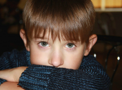 Ростовская область продолжит помогать детям из присоединенных к России территорий