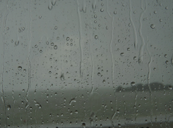 Дождливая и прохладная погода ожидается в Ростовской области