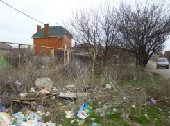 Власти Ростова наказали Автоколонну №1559 за свалки на остановках