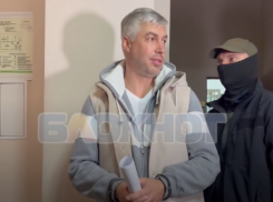 Защита Логвиненко подала апелляцию на решение суда о мере пресечения