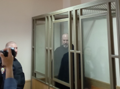 Эксперт: Жесткое наказание для Кушнарева – закономерно, выход Быковской по УДО – нелогичен