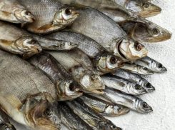 В Ростовской области обнаружили 3 тонны неизвестной вяленой рыбы