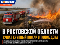 В Ростовской области потушили крупный пожар в пойме Дона