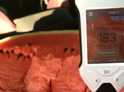 Количество нитратов в ростовских арбузах напугало покупателей