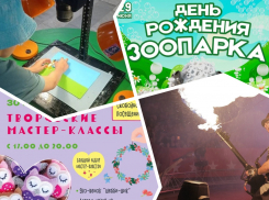 Отмечаем день рождения зоопарка, смотрим мультфильмы и смотрим феерическое шоу барабанщиц: куда пойти в Ростове на этой неделе