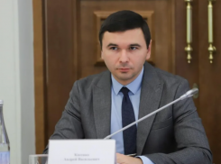 Временно исполняющим обязанности замглавы Ростова по социальным вопросам назначен Андрей Косенко