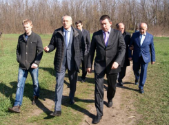 К майским праздникам будет обустроен ростовский парк на улице Вересаева