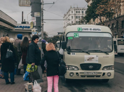 Торгующая продуктами питания компания получила три автобусных маршрута в Ростове