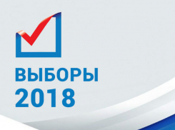Выборы президента РФ пройдут под надзором тысяч зорких глаз в Ростове