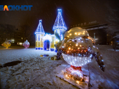 В Ростове снова установят «Смешариков» к Новому году