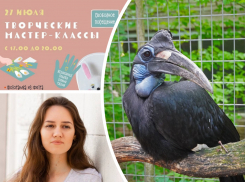 Угощаем рогатых воронов, учимся общаться с подростками и участвуем в феерии сказочных артистов: куда пойти в Ростове на этой неделе