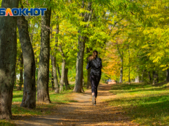 В Ростове в Лелюшенковском лесопарке 130 га отдали под строительство