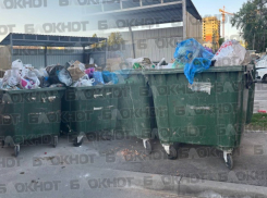 Вонь и крысы: ростовчане жалуются на ограниченное количество контейнеров в крупном ЖК