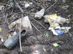 Расчищенный детскими руками водоем превратили в свалку отдыхающие взрослые в Ростове
